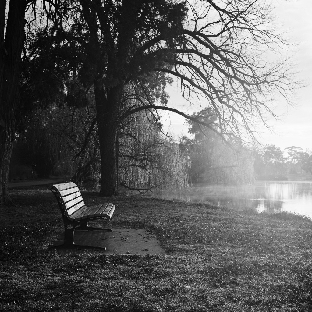 Park Bench Print - Seat in sun on foggy winter morning at Lake Weeroona, Bendigo, Victoria