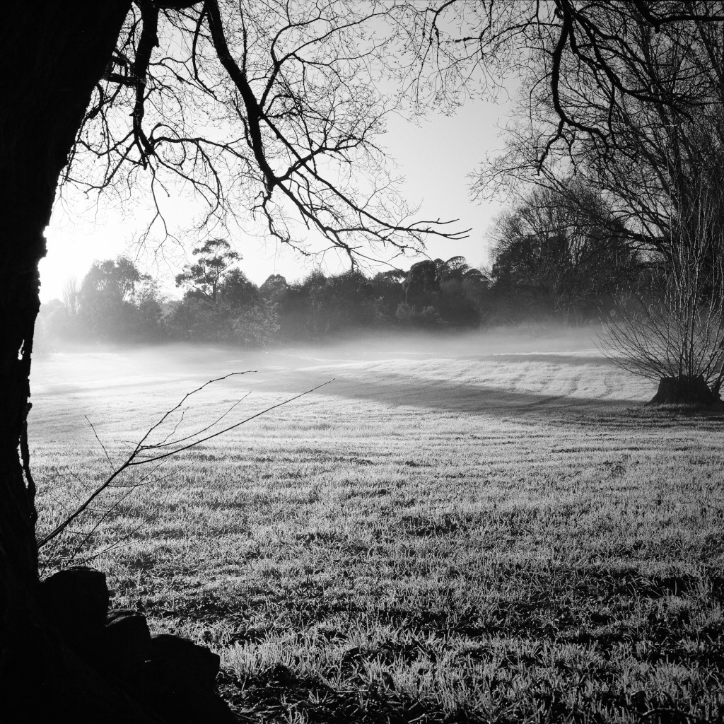 Frosty Winter Morning in Malmsbury Photography Print