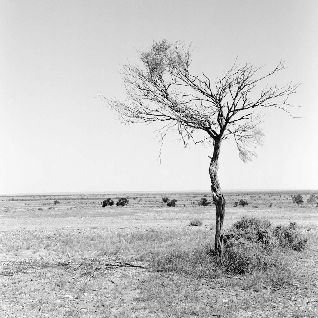Middle of Nowhere, Outback Australia, Bush Landscape