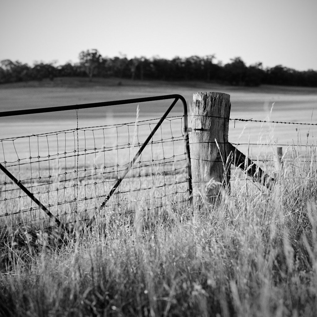 Farm Gate, Australian rural landscape